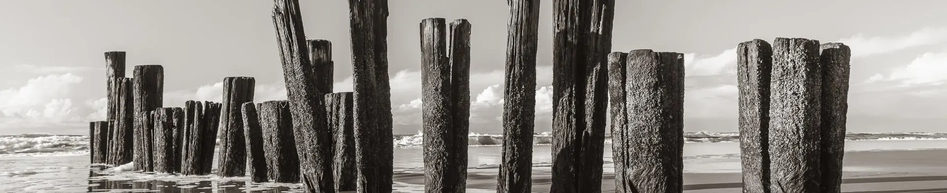 Zwart wit foto van palen in het water aan het strand